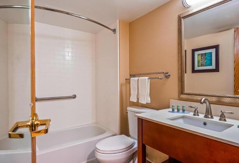 장애인을 위한 스탠다드 룸, Best Western Warren