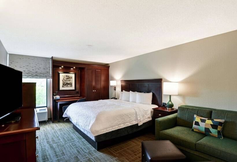 Студия Стандарт Двуспальная Кровать, Hampton Inn Charlotte Gastonia