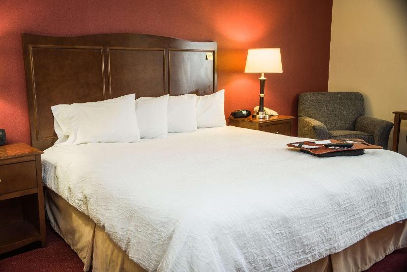 스탠다드 룸 킹사이즈 침대, Hampton Inn Lexington/georgetown