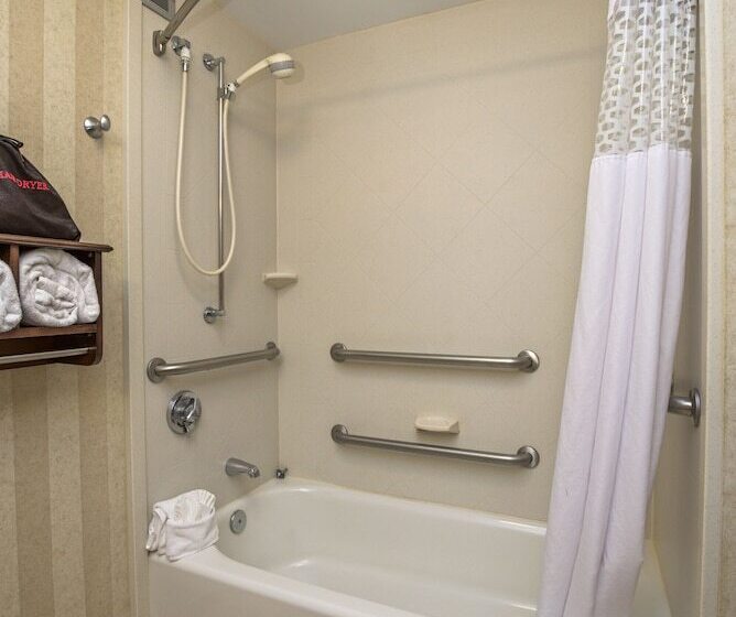اتاق استاندارد برای معلولان, Hampton Inn Portsmouth Central