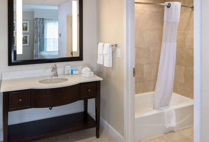 اتاق استاندارد, Hampton Inn & Suites Charlotte/south Park At Phillips Place