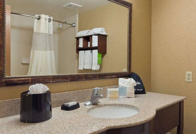 اتاق استاندارد با بالکن, Hampton Inn & Suites Phoenix/scottsdale