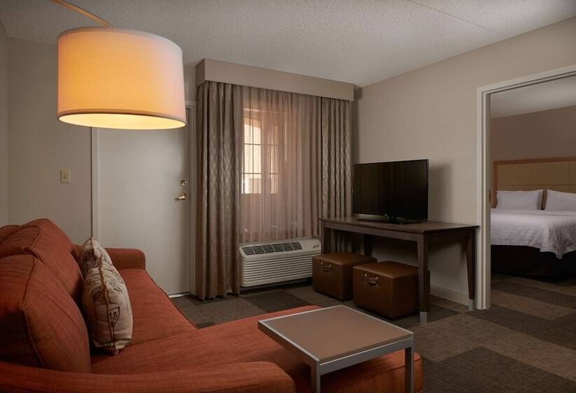 اتاق استاندارد با بالکن, Hampton Inn & Suites Phoenix/scottsdale