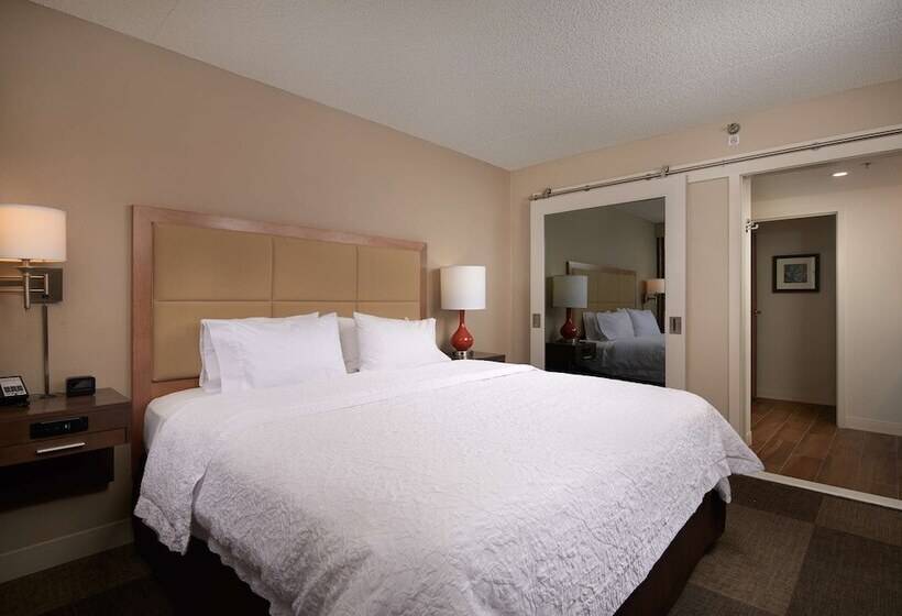 اتاق استاندارد با بالکن, Hampton Inn & Suites Phoenix/scottsdale