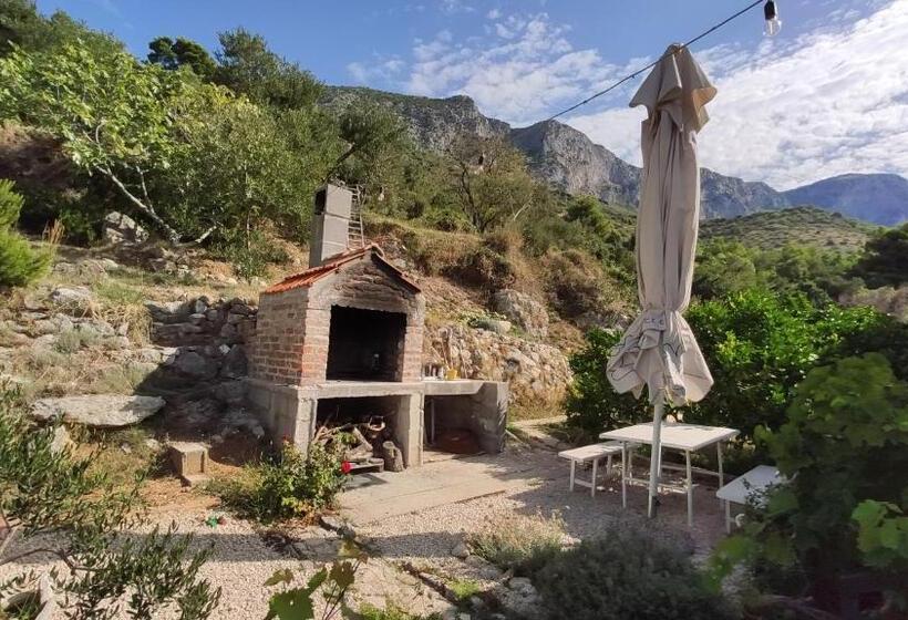 اتاق استاندارد, Guesthouse Podaca