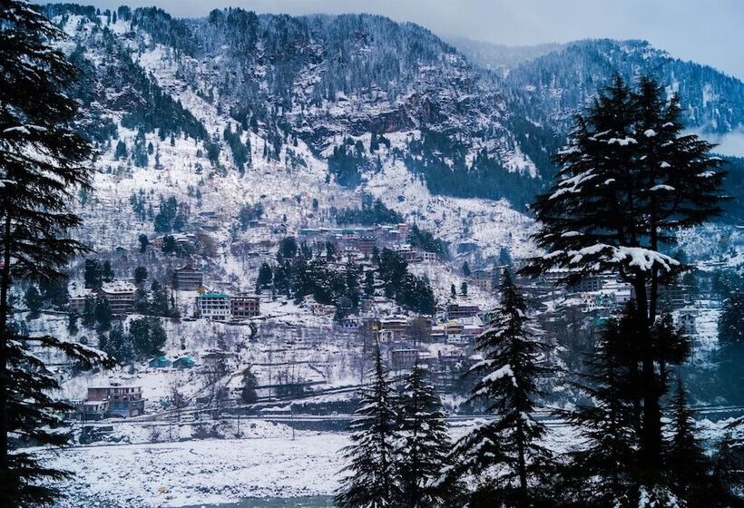 اتاق لوکس, Alt Life Manali