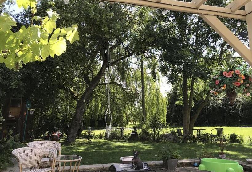 غرفة سوبيريور, Old Thatch Bambers Green