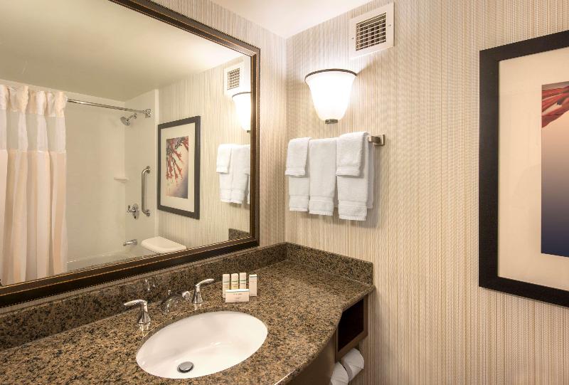 스탠다드 룸 킹사이즈 침대, Hilton Garden Inn Denver South Park Meadows Area