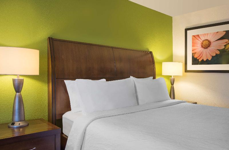 스탠다드 룸 킹사이즈 침대, Hilton Garden Inn Denver South Park Meadows Area