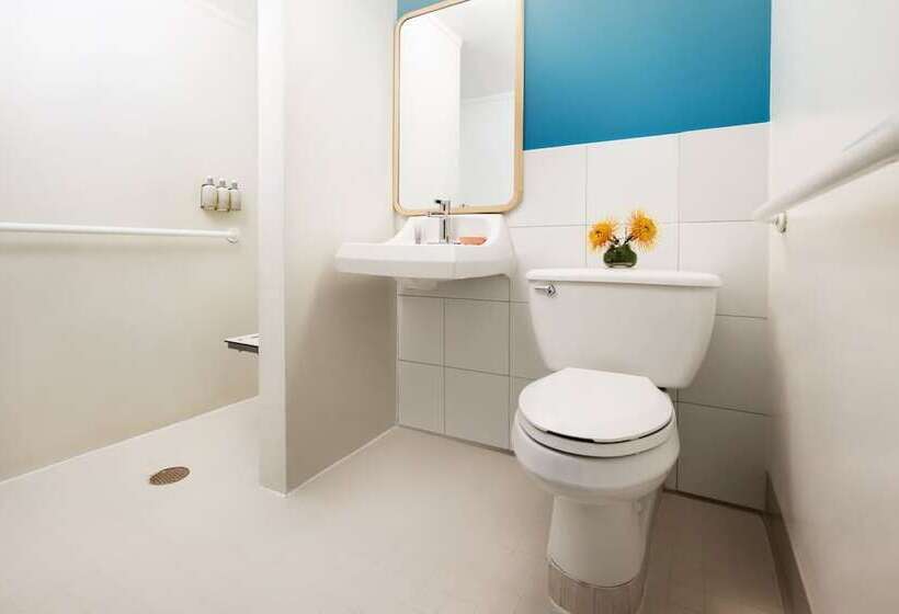 اتاق استاندارد با تخت دوبل برای معلولان, The Twin Fin