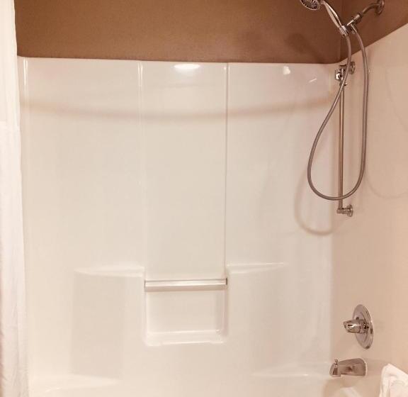 장애인을 위한 스탠다드 룸, Hawthorn Extended Stay By Wyndham Conyers