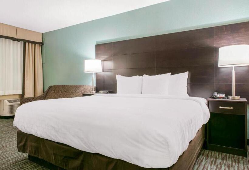 Стандартный Номер Кровать Кинг, Quality Inn Dayton Airport