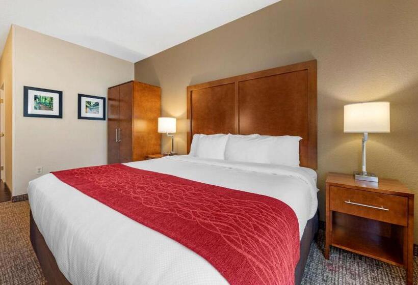 Номер Стандарт Адаптированный для Инвалидов, Comfort Inn La Porte