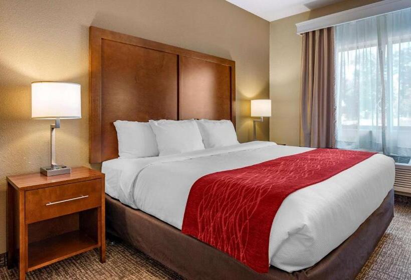 Люкс Адаптированный для Инвалидов, Comfort Inn La Porte