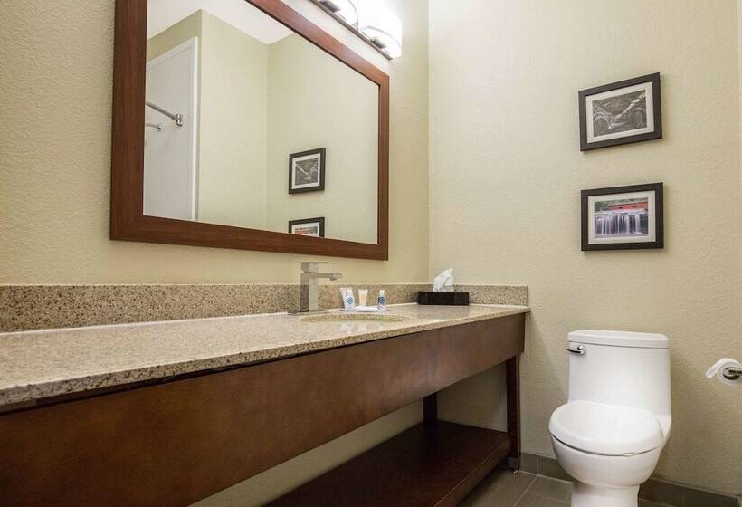 Люкс, Comfort Inn La Porte