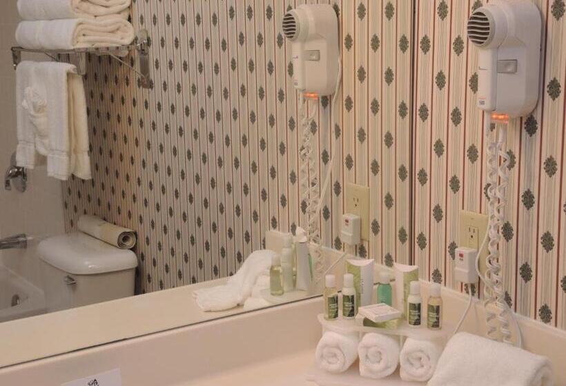 스탠다드 룸 킹사이즈 침대, Evergreen Inn & Suites