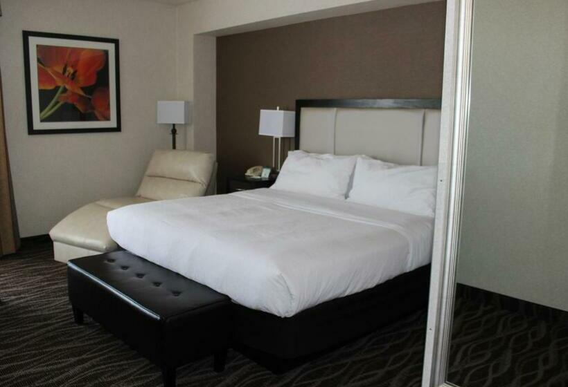 اتاق استاندارد با تخت بزرگ, Holiday Inn Des Moines Airport Conf Center, An Ihg