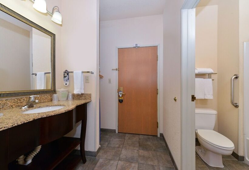 Номер Стандарт, Holiday Inn Express Hotel & Suites Farmington, An Ihg