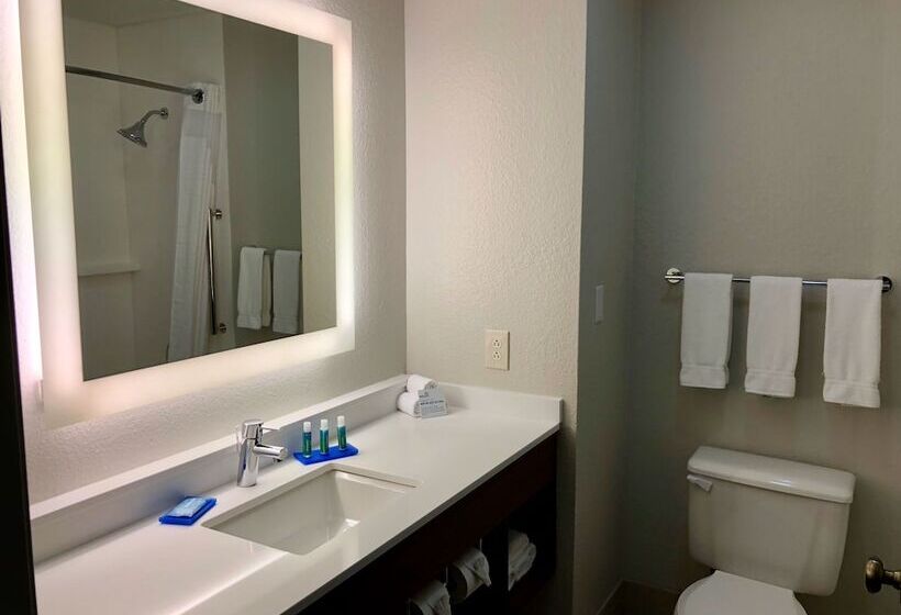 Номер Стандарт, Holiday Inn Express Arlington Interstate 20 Parks Mall, An Ihg