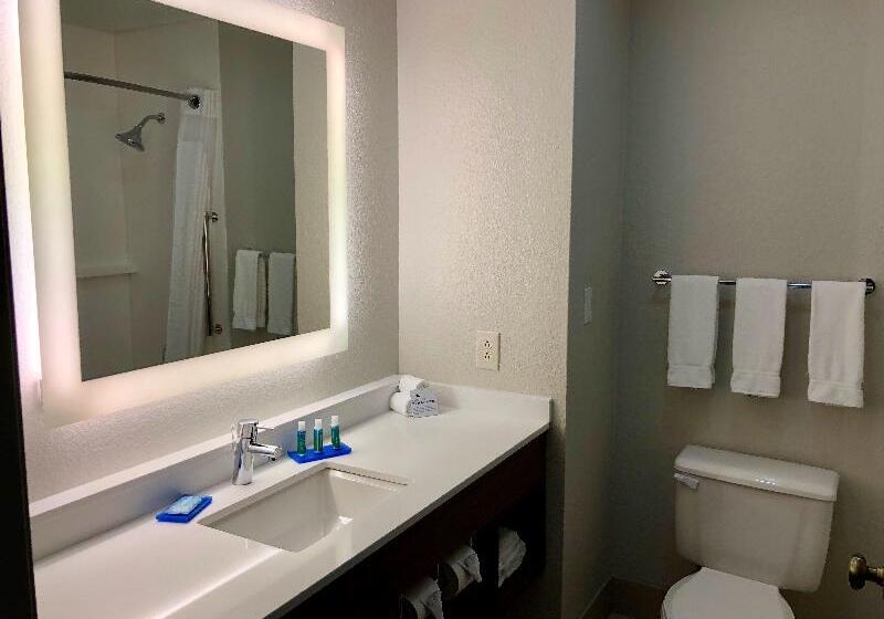Стандартный Номер Кровать Кинг, Holiday Inn Express Arlington Interstate 20 Parks Mall, An Ihg