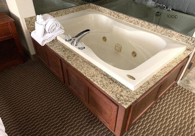 Номер Стандарт Вид на Бассейн, Holiday Inn Express Grand Rapids Southwest, An Ihg