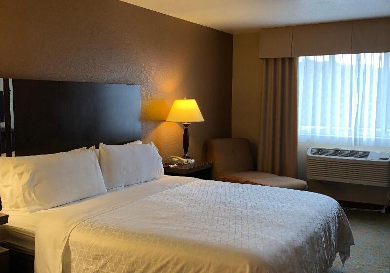 חדר סטנדרט עם מיטת קינג, Holiday Inn Express Winnemucca, An Ihg