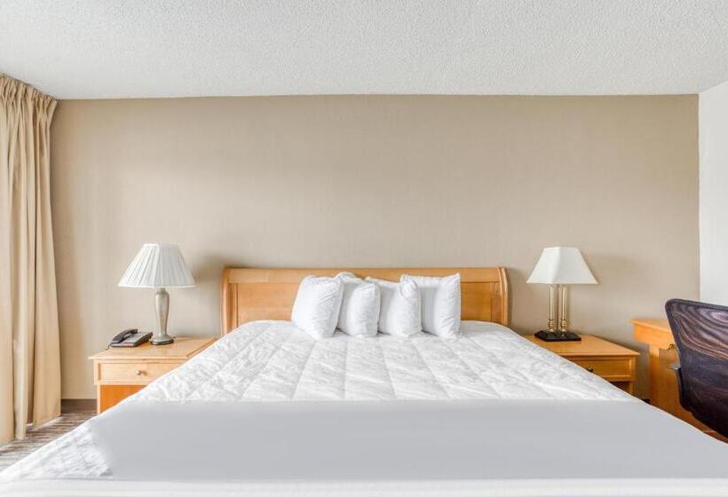اتاق استاندارد با تخت بزرگ برای معلولان, Quality Inn