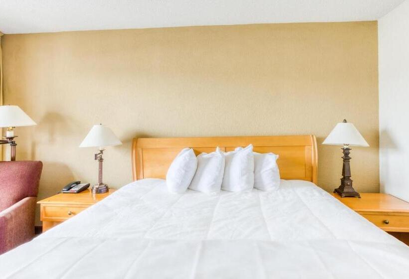 اتاق استاندارد با تخت بزرگ, Quality Inn