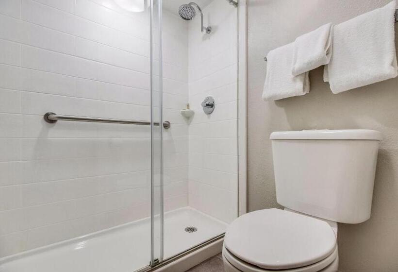 Номер Superior Кровать Кинг, Red Roof Inn Plus+ Dallas   Addison