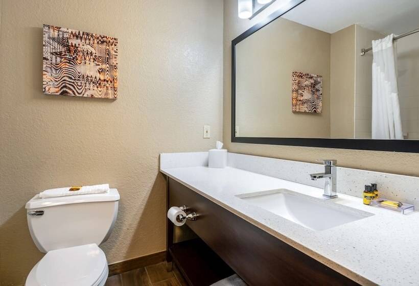 Номер Стандарт, Best Western Plus Warsaw