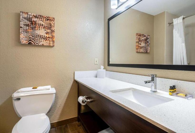 Стандартный Номер Кровать Кинг, Best Western Plus Warsaw