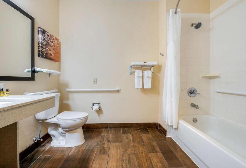 Номер Стандарт Адаптированный для Инвалидов, Best Western Plus Warsaw