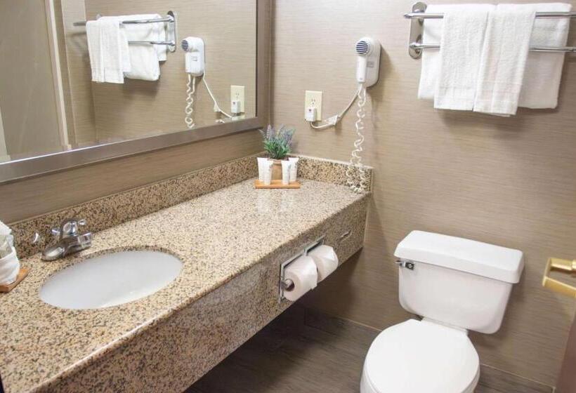 Quarto Estandar Cama King, Country Inn & Suites By Radisson, Garden City, Ks