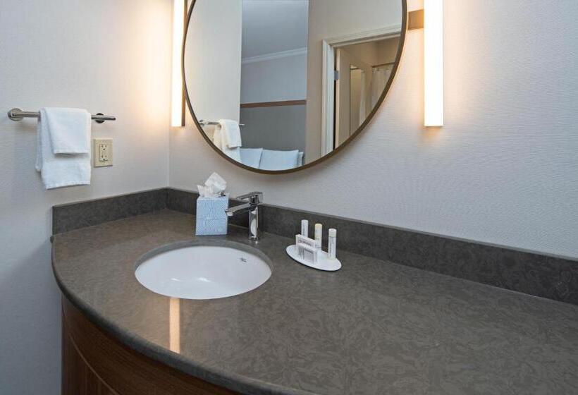 Standart Oda, Fairfield By Marriott Inn & Suites Seattle Seatac Airport