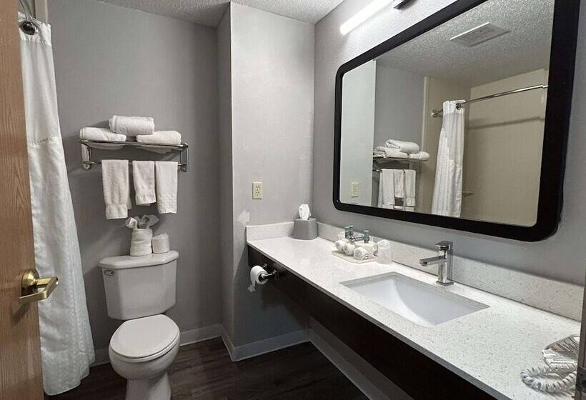 Люкс Адаптированный для Инвалидов, Surestay Plus By Best Western Fremont I 69