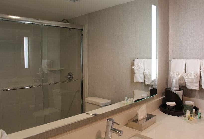Номер Стандарт, Holiday Inn Denver Lakewood, An Ihg