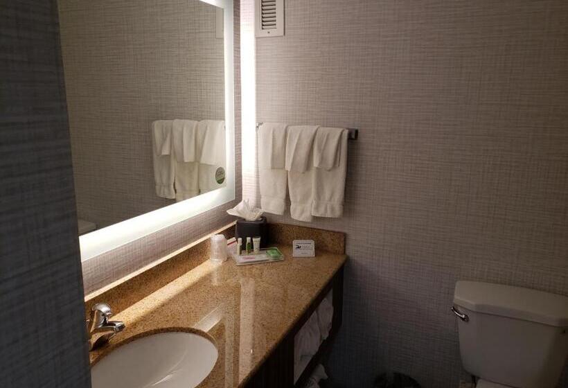 스탠다드 룸 킹사이즈 침대, Holiday Inn Huntsville   Research Park, An Ihg