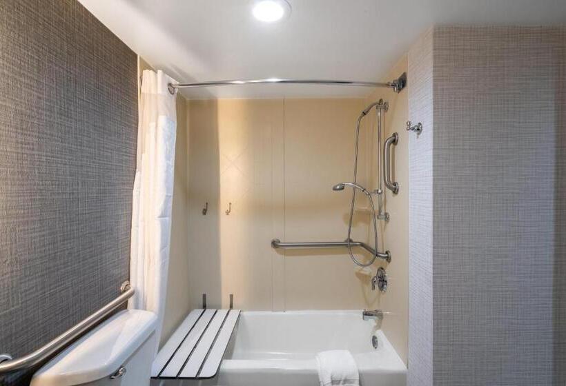 장애인을 위한 킹사이즈 침대 스탠다드 룸, Holiday Inn Huntsville   Research Park, An Ihg