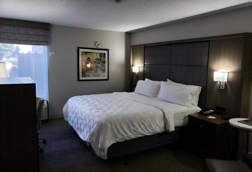 장애인을 위한 킹사이즈 침대 스탠다드 룸, Holiday Inn Huntsville   Research Park, An Ihg