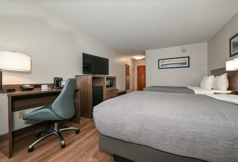 Номер Стандарт 2 Двуспальные Кровати, Quality Inn & Suites Matthews   Charlotte