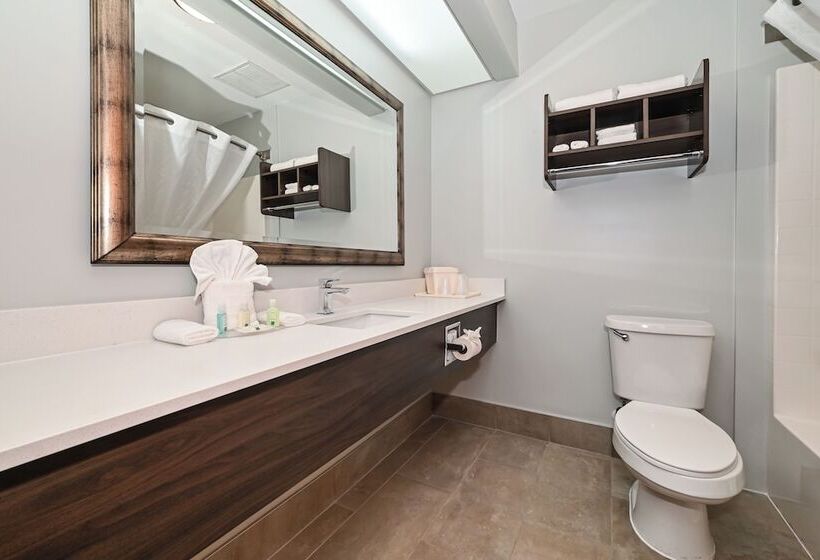 Номер Стандарт 2 Двуспальные Кровати, Quality Inn & Suites Matthews   Charlotte