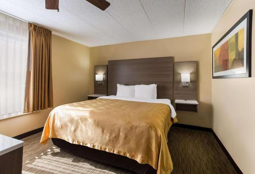 带大床的套房, Quality Suites Milwaukee Airport