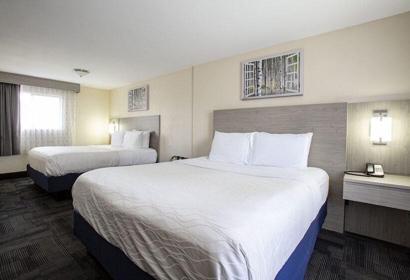 اتاق استاندارد, Aspen Flagstaff/ Grand Canyon Innsuites