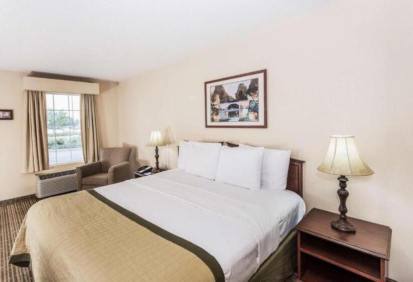 带大床的标准间, Baymont By Wyndham Valdosta At Valdosta Mall