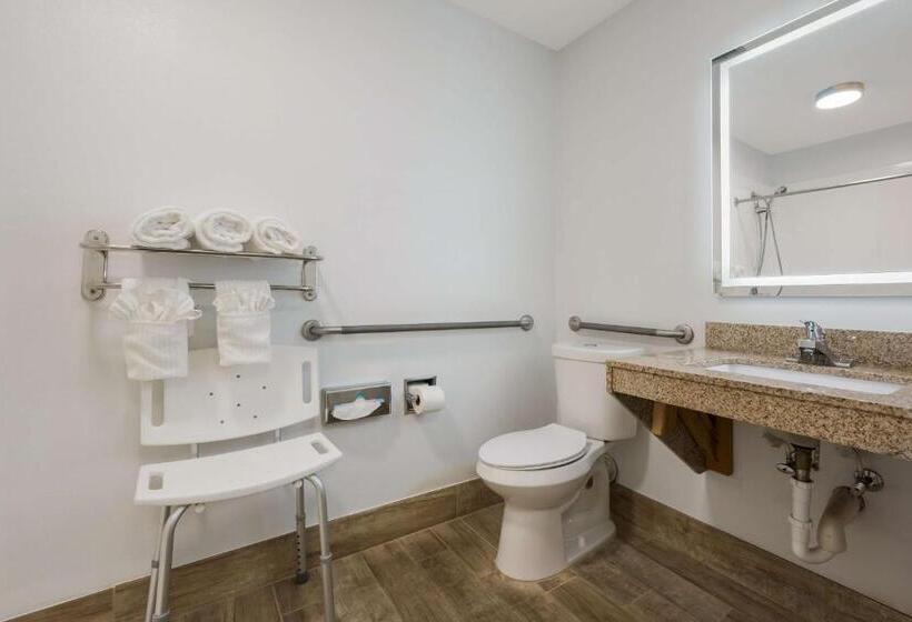 Номер Стандарт Кровать Кинг Адаптированный для Инвалидов, Surestay Hotel By Best Western Tuscaloosa Southeast