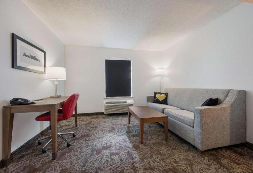 Стандартный Номер Кровать Кинг, Surestay Hotel By Best Western Tuscaloosa Southeast