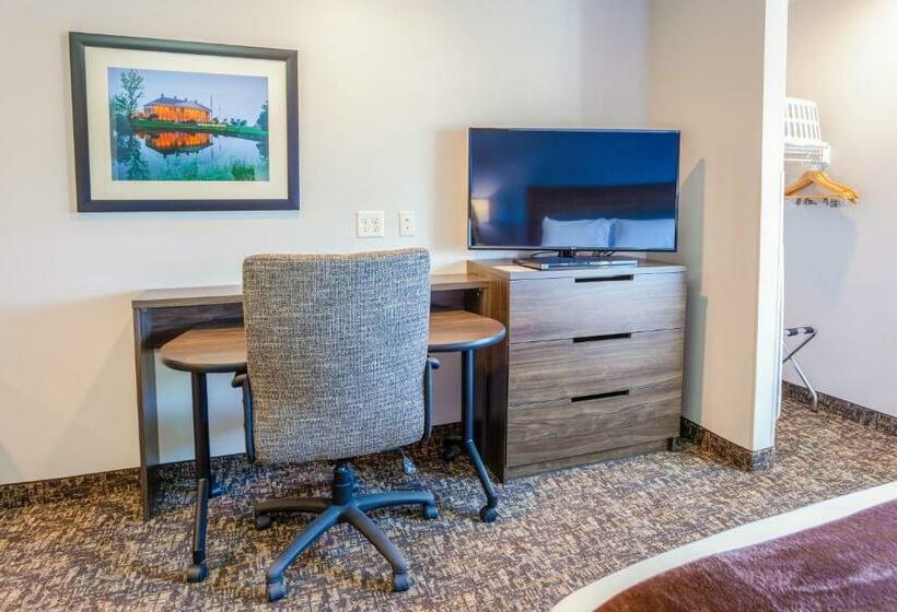 اتاق استاندارد, My Place Hotel Watertown, Sd