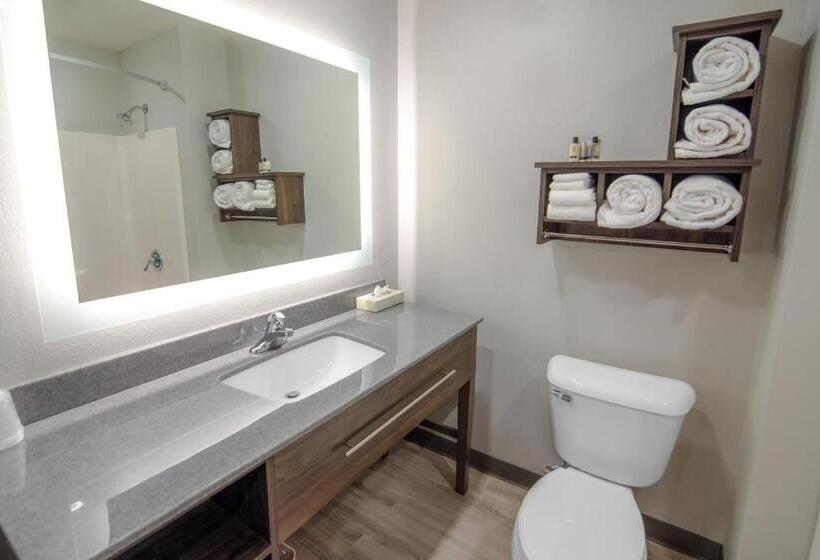 اتاق استاندارد با تخت بزرگ, My Place Hotel Watertown, Sd