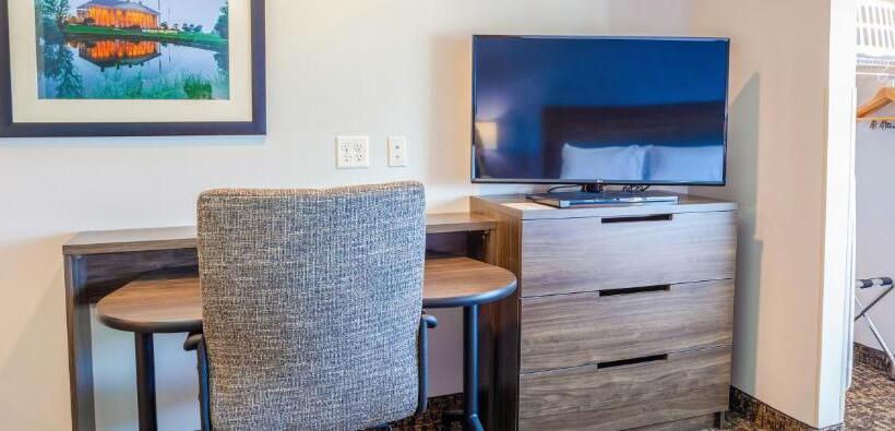 اتاق استاندارد با تخت بزرگ, My Place Hotel Watertown, Sd
