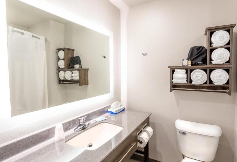 اتاق استاندارد با تخت بزرگ برای معلولان, My Place Hotel Watertown, Sd